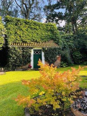 Blick auf den Holzschuppen