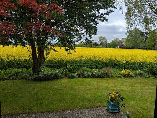 Blick vom Grundstück (im Frühjahr)