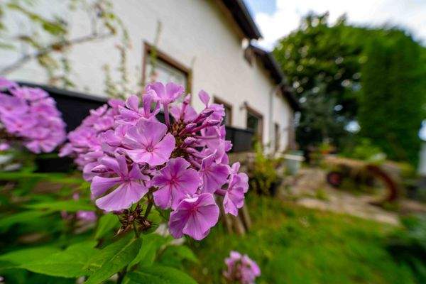 Außenansicht + Garten