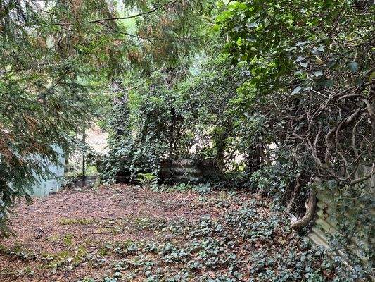 hintere Grundstücksgrenze