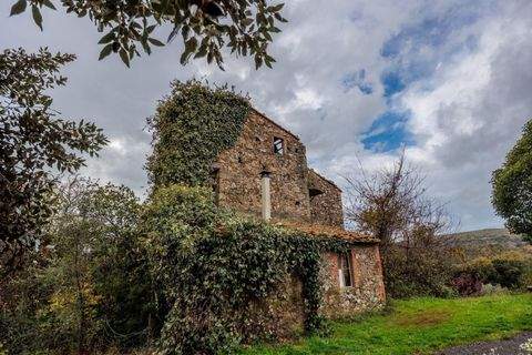 Roccastrada Häuser, Roccastrada Haus kaufen