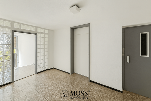 Wohnungstür + Hausflur