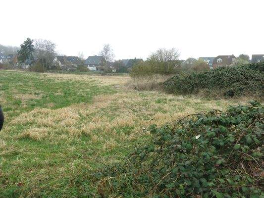 Ideale Größe für Planungen