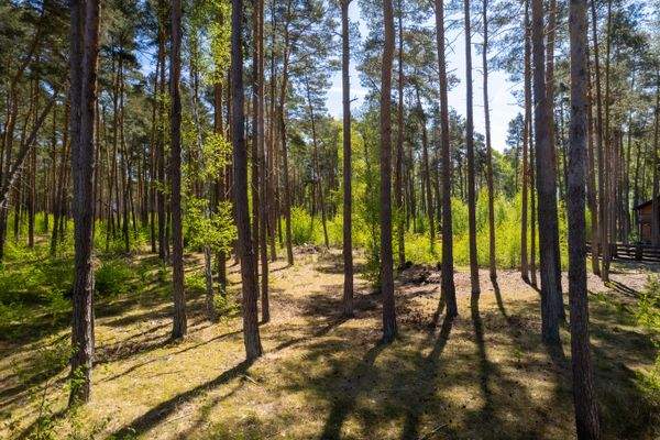 Dron, działka Pawła-9.jpg