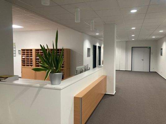 Eingang - Empfangstresen