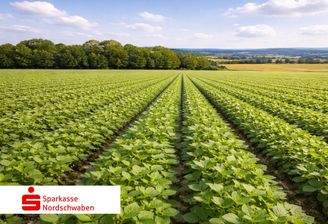 Titelbild (KI erstellt)