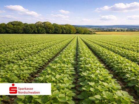 Höchstädt Bauernhöfe, Landwirtschaft, Höchstädt Forstwirtschaft
