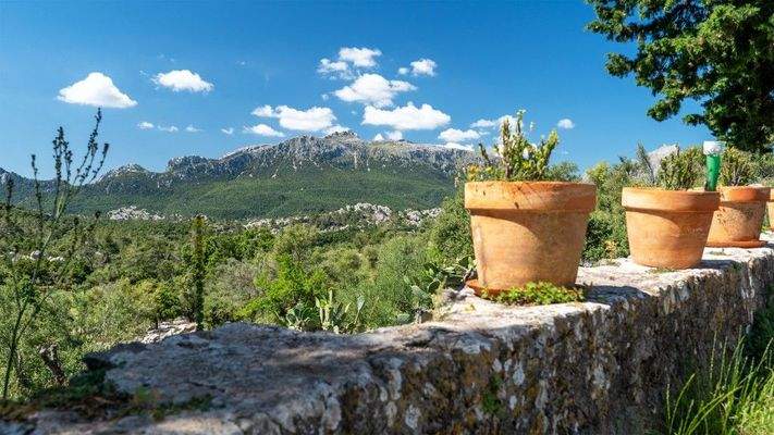 Escorca Mallorca rustikale Finca zum Verkauf Weitblick BHHS-BAL-0176