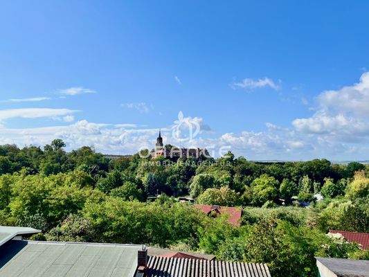 Rundblick vom Grundstück