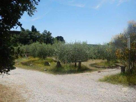 Ambra Wohnungen, Ambra Wohnung kaufen