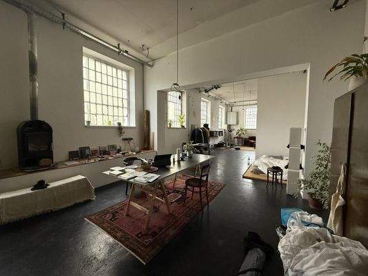 20250121_115559712_iOS