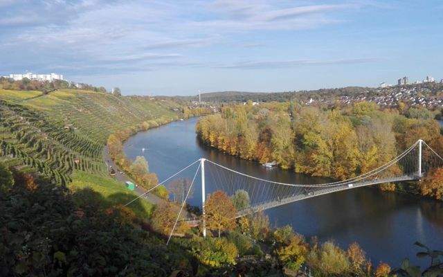 Blick auf den Neckar/Weinberge