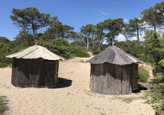 Screenshot 2025-04-28 095018.png