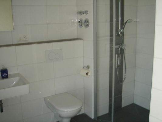 Tageslichtbad mit Dusche/Waschbecken/WC