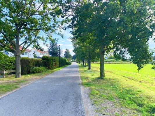 Ruhige Wohnlage abseits des Trubels