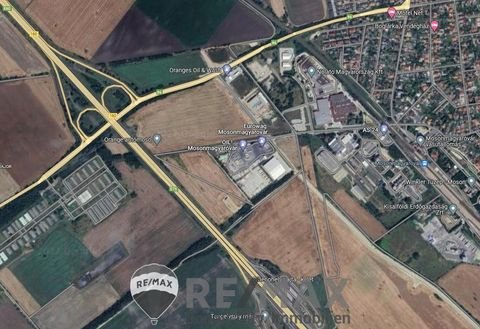 Mosonmagyaróvár Halle, Mosonmagyaróvár Hallenfläche