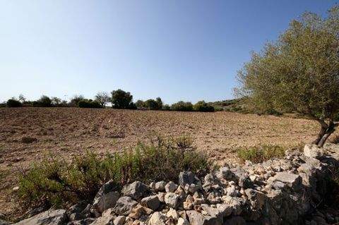 San Lorenzo Häuser, San Lorenzo Haus kaufen