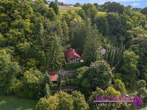 Regensburg Häuser, Regensburg Haus kaufen