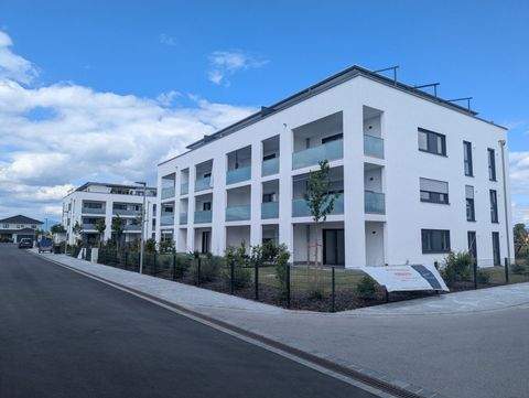 Plattling Wohnungen, Plattling Wohnung mieten