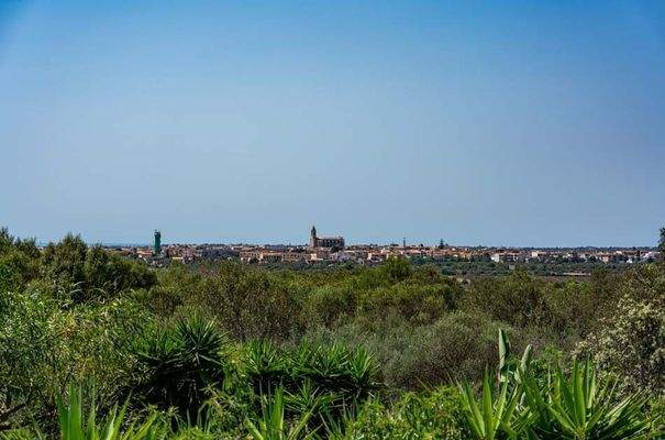 2325_26_Santanyí_Finca_Ausblick