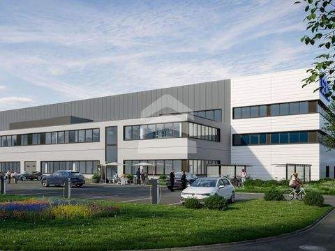 Leipzig Halle, Leipzig Hallenfläche