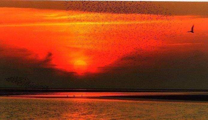 Utersum Sonnenuntergang.jpg