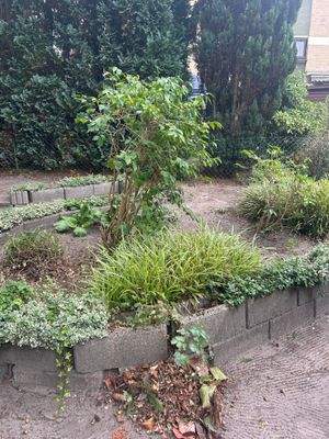 unbegrenzte kreative Möglichkeiten 