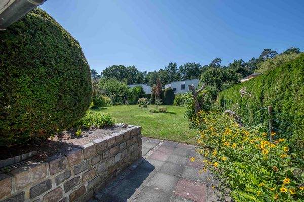 Blick in den Garten vom Wintergarten