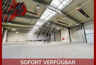 INFOS UNTER: 06171-586000