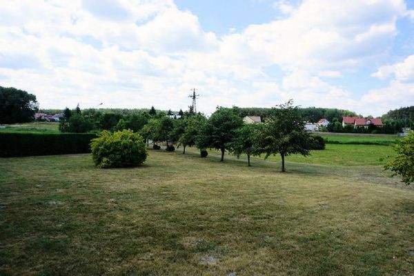 Straße und Zufahrt zum Grundstück (1)