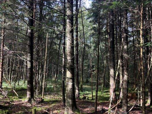 2025-10-08 14.59.50.jpg