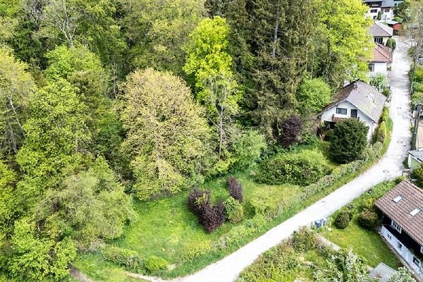 Ansicht Baugrund mit Altbestand