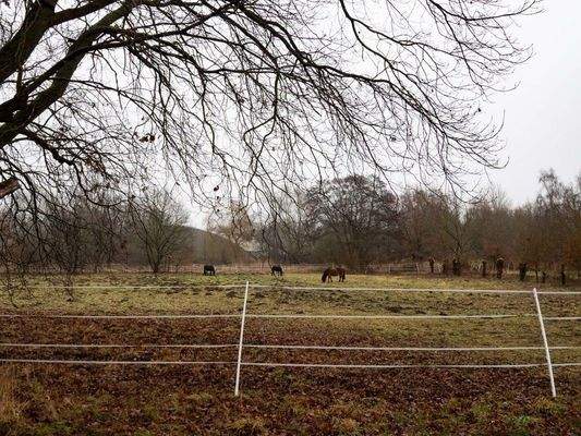 210 002 05 Nachbargrundstück