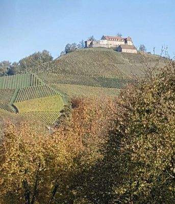 Ausblick auf Schloss Durbach