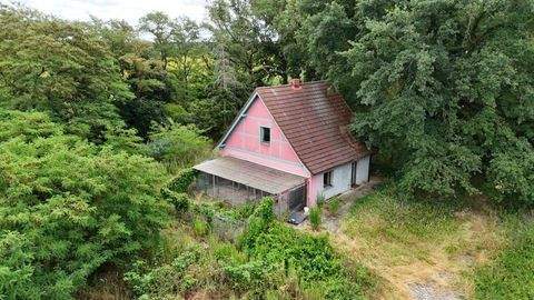 Dessau-Rosslau Häuser, Dessau-Rosslau Haus kaufen