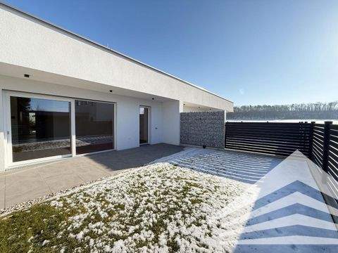 Enns Häuser, Enns Haus kaufen