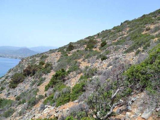 Kreta, Elounda: Großes, erstklassiges Grundstück in erster Meereslinie zu verkaufen