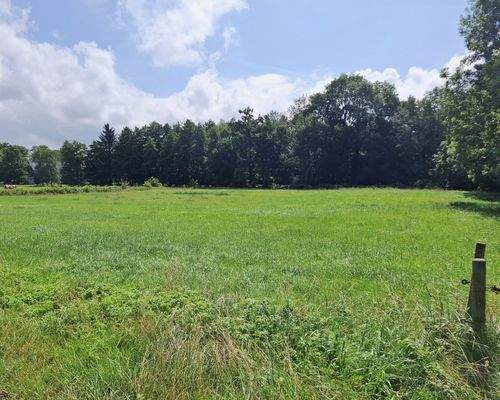 Vordere Weide (rechts).jpg