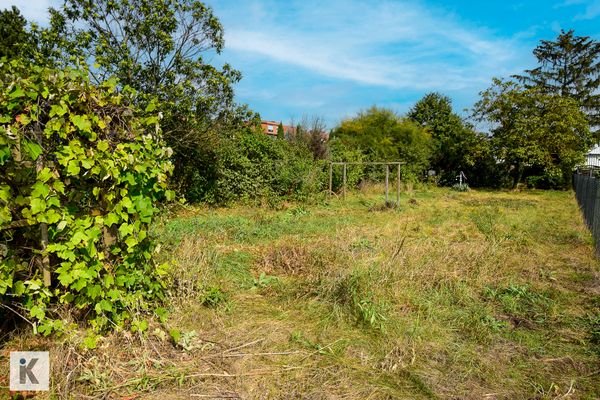 Garten mit viel Potenzial