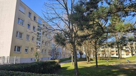 Freiburg im Breisgau Wohnungen, Freiburg im Breisgau Wohnung kaufen