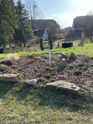 Blumenbeet zum Wohnhaus.jpeg