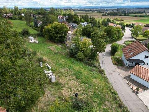 Nagold / Hochdorf Grundstücke, Nagold / Hochdorf Grundstück kaufen