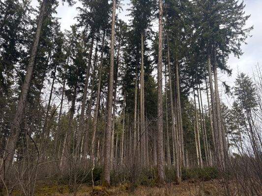 2026-02-12 13.53.34.jpg