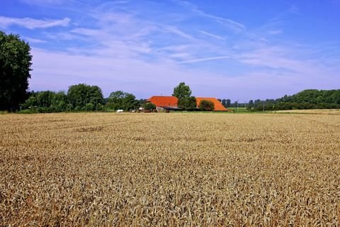 Neumarkt-Sankt Veit Gastronomie, Pacht, Gaststätten