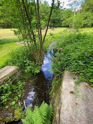 59 Wasserlauf Schneidemühle.jpg