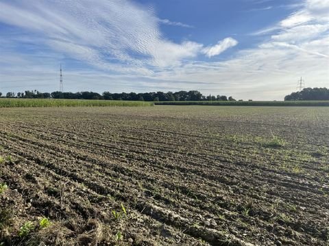 Welver Bauernhöfe, Landwirtschaft, Welver Forstwirtschaft