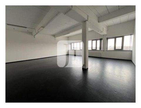 Hamburg Halle, Hamburg Hallenfläche