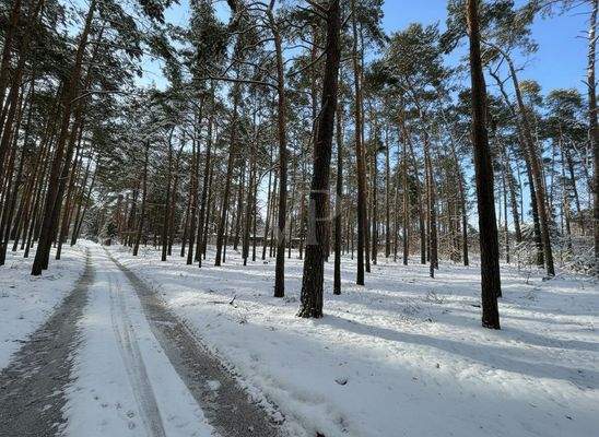 Ansicht rechtsseitig