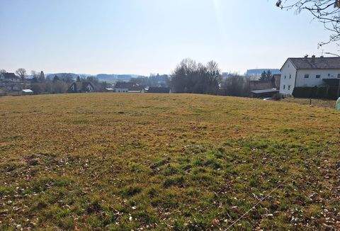 Vilsbiburg Bauernhöfe, Landwirtschaft, Vilsbiburg Forstwirtschaft