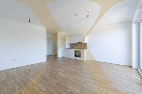 Linz Wohnungen, Linz Wohnung mieten